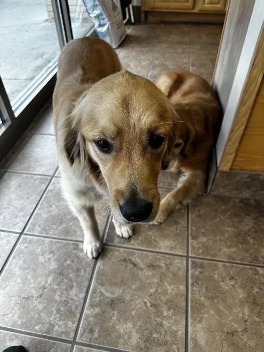Diamond Q Animal Hospital Picture 10