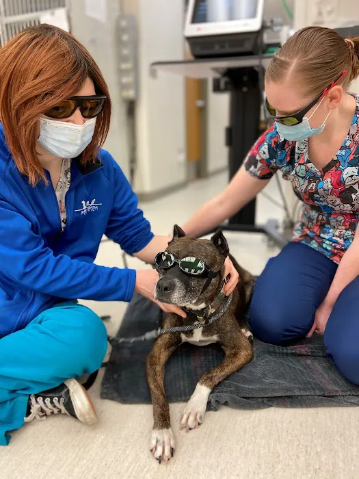 Animal Health Clinic Picture 9
