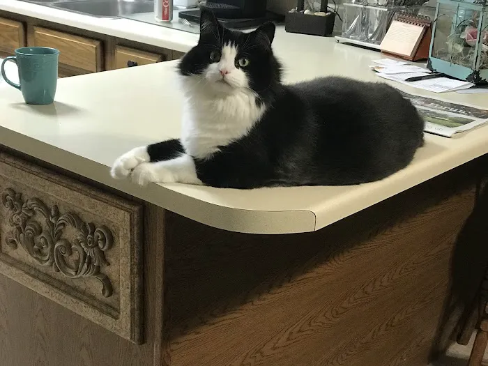 Red River Animal Emergency Hospital & Referral Center Picture 6