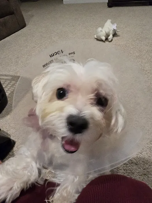 Banfield Pet Hospital Picture 2