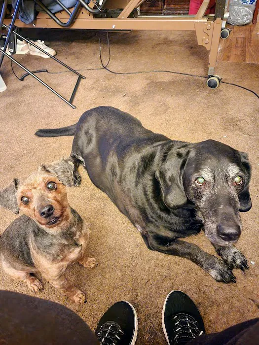 Banfield Pet Hospital Picture 9