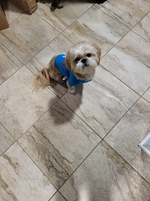 Veterinary Medical Center of Clayton Picture 7