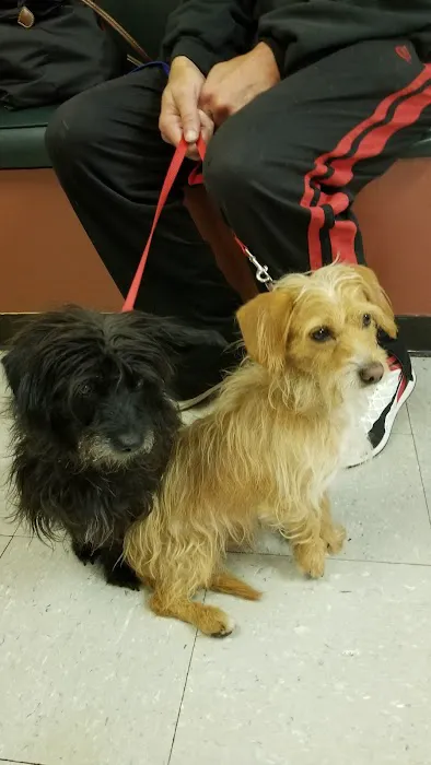 Three Counties Animal Hospital Picture 1