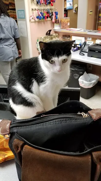 Three Counties Animal Hospital Picture 4