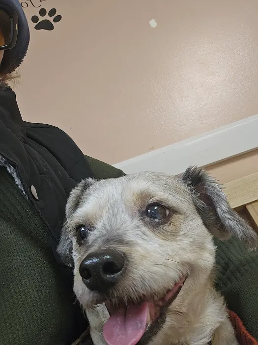Three Counties Animal Hospital Picture 7
