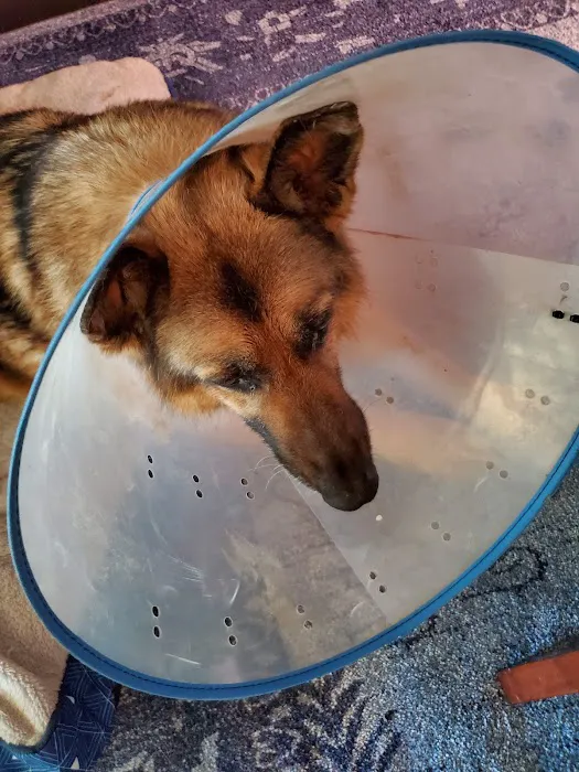 Three Counties Animal Hospital Picture 10