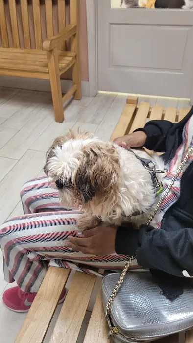 Three Counties Animal Hospital Picture 9