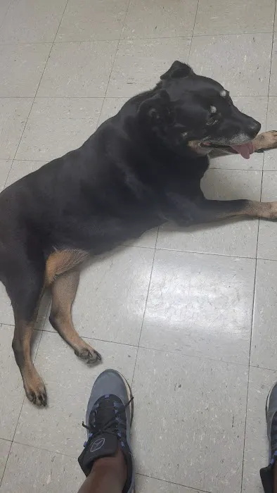 Three Counties Animal Hospital Picture 8