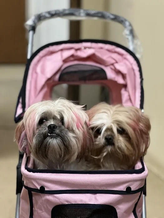 AVS Animal Hospital Picture 5