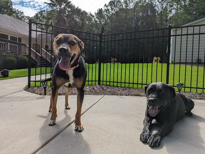 Brookwood Animal Hospital Picture 1
