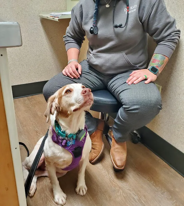 Brookwood Animal Hospital Picture 7