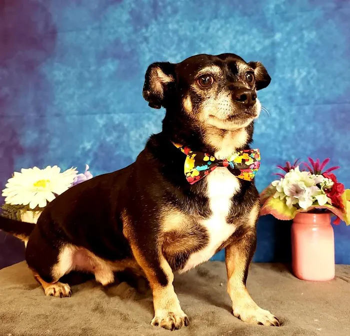 Jackson Veterinary Clinic Picture 8