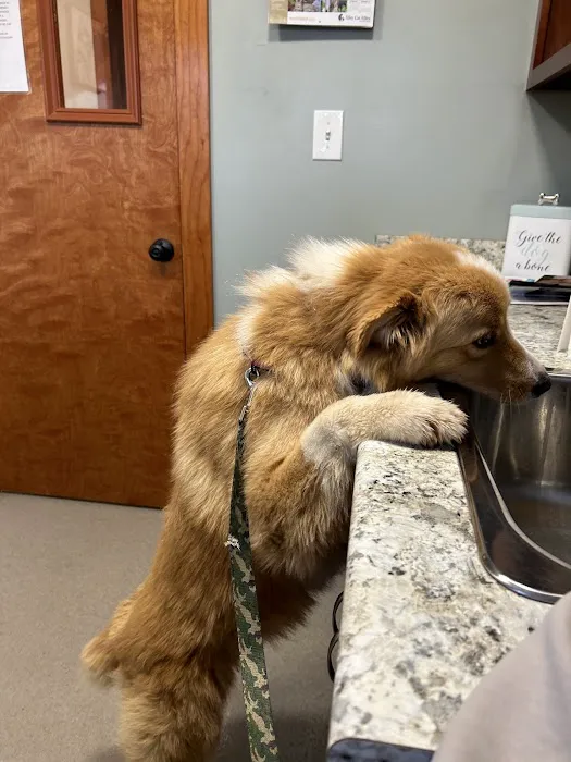 Jackson Veterinary Clinic Picture 6