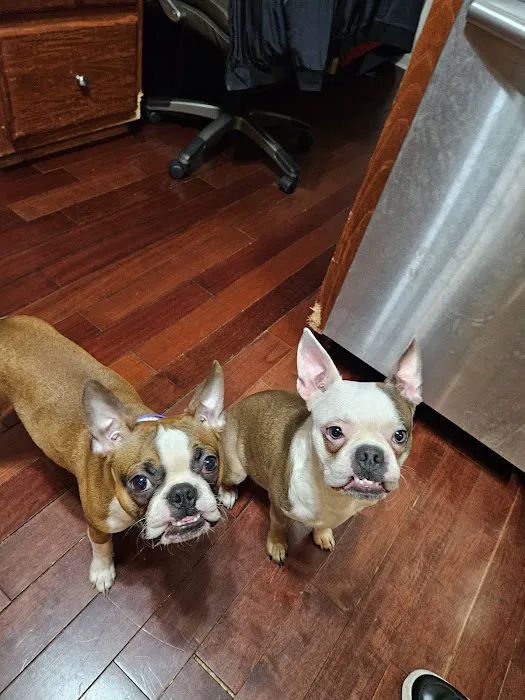 All Pets & Paws Animal Hospital Picture 4