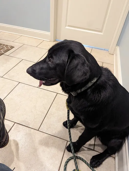 All Pets & Paws Animal Hospital Picture 5