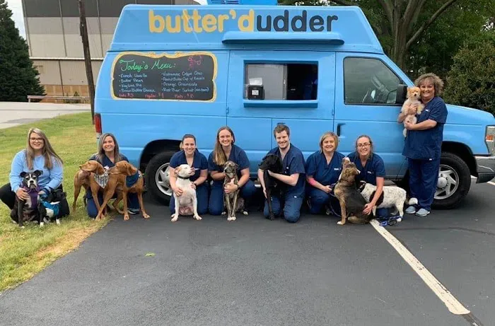 VCA Carrollton Animal Hospital Picture 2