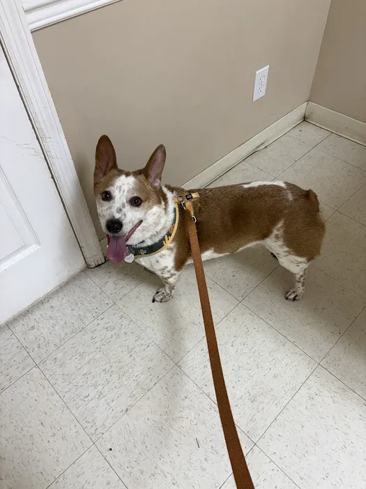 Carroll County Animal Hospital - Oak Mountain Picture 1