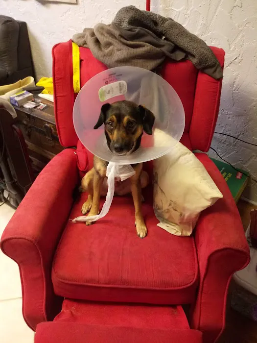 Carroll County Animal Hospital - Oak Mountain Picture 5