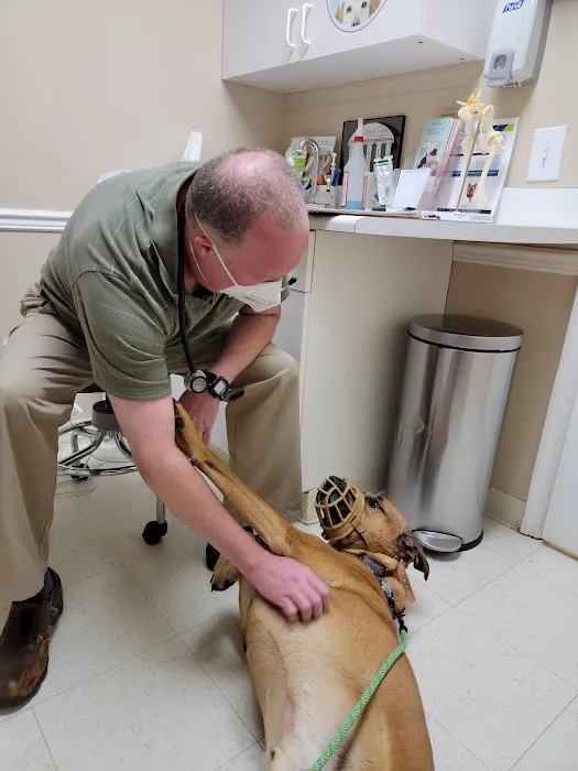 Carroll County Animal Hospital - Oak Mountain Picture 4