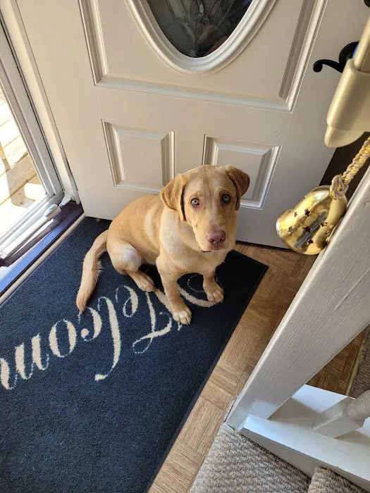 Carroll County Animal Hospital - Columbia Drive Picture 4