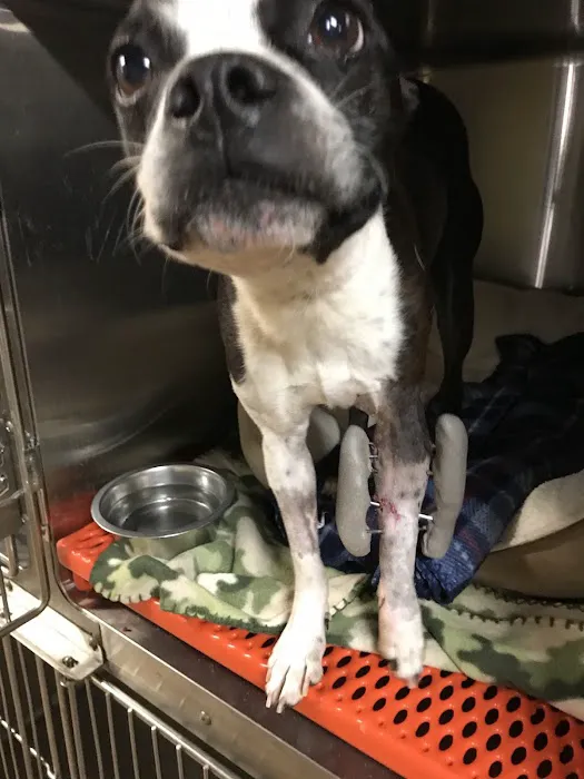 Carroll County Animal Hospital - Columbia Drive Picture 6