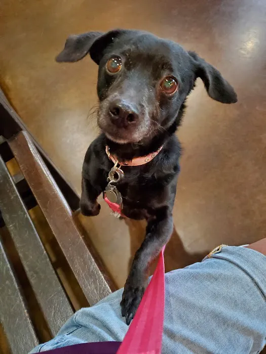 Price Creek Animal Hospital Picture 6