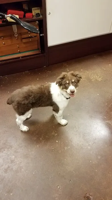 Price Creek Animal Hospital Picture 8