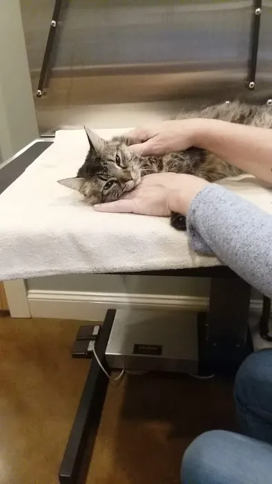 Price Creek Animal Hospital Picture 9