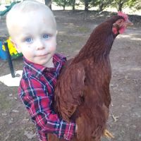 Shannon Parkway Animal Hospital ico
