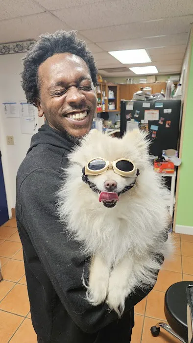Paws N Claws Animal Wellness Center Picture 3