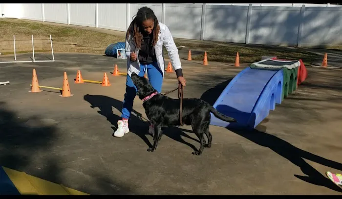 Paws N Claws Animal Wellness Center Picture 8