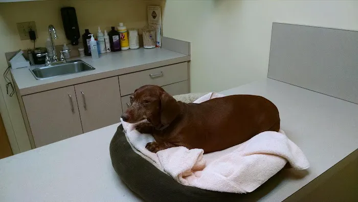 Union City Veterinary Medical Center & Emergency Clinic Picture 5