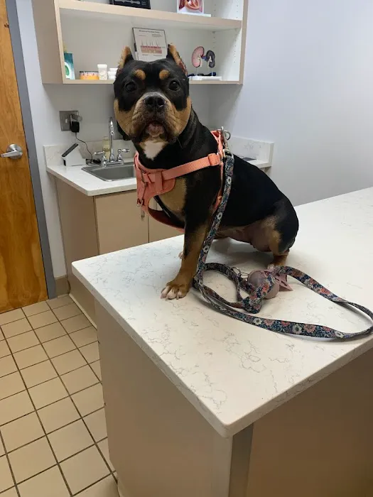 Union City Veterinary Medical Center & Emergency Clinic Picture 7