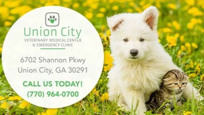 Union City Veterinary Medical Center & Emergency Clinic Picture 8
