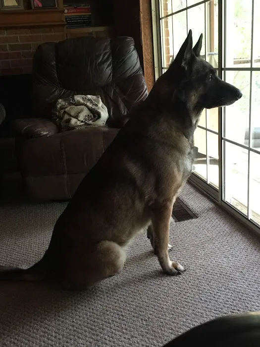 Red Oak Animal Hospital, LLC Picture 10