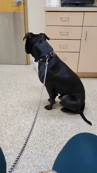 Animal Medical Clinic of Fairburn Picture 1