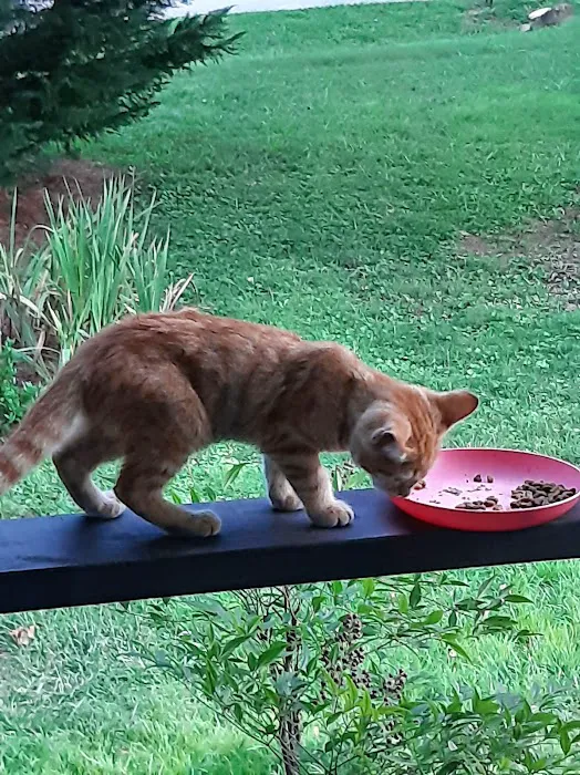 LifeLine Animal Project Spay & Neuter Clinic Picture 2