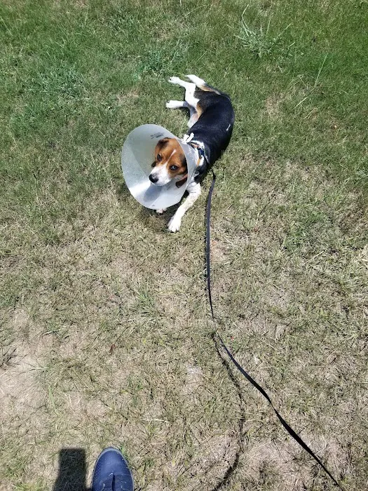 LifeLine Animal Project Spay & Neuter Clinic Picture 9