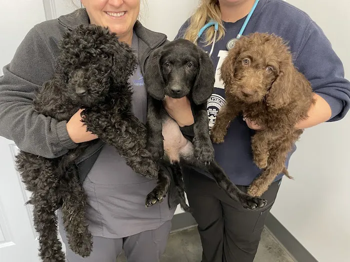 Sweetwater Veterinary Hospital Picture 7