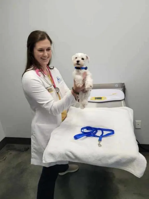 Sweetwater Veterinary Hospital Picture 6