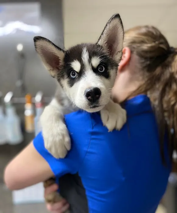 Wheelersburg Animal Hospital Picture 6