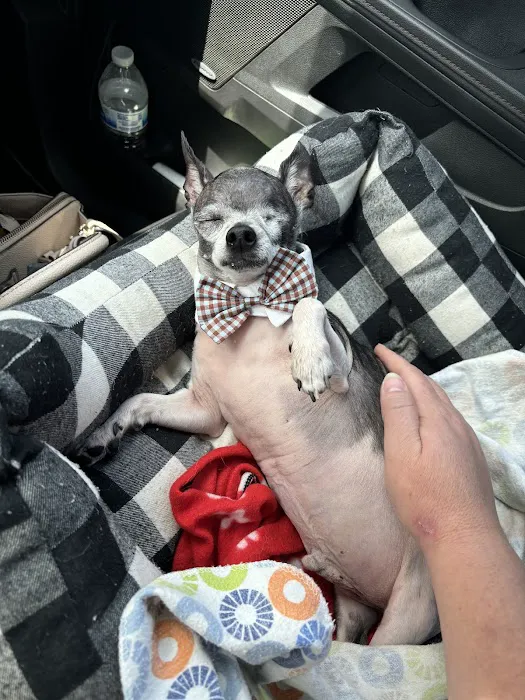 Wheelersburg Animal Hospital Picture 9