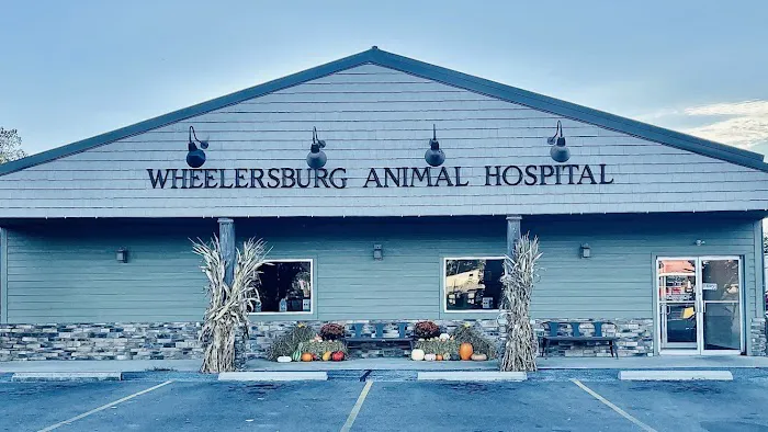 Wheelersburg Animal Hospital Picture 10
