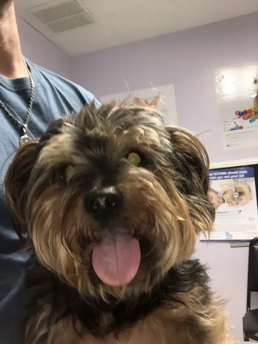 Scioto Trail Animal Clinic Picture 4