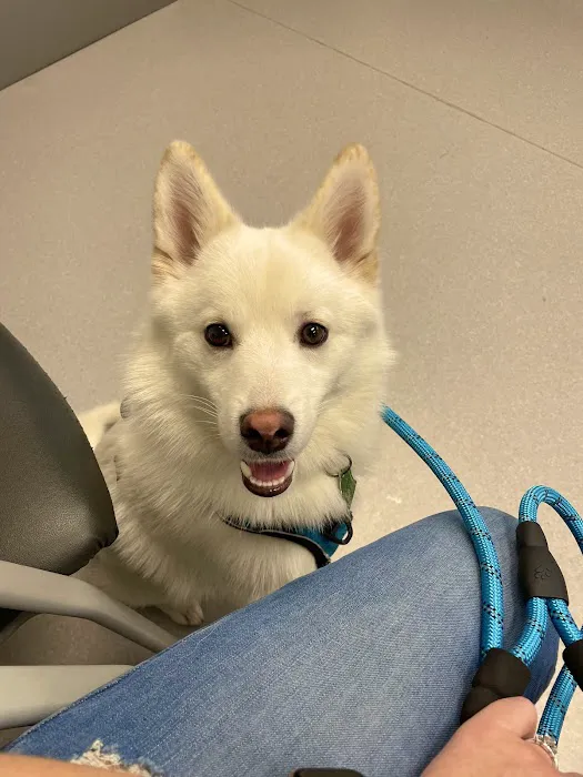 Scioto Trail Animal Clinic Picture 1