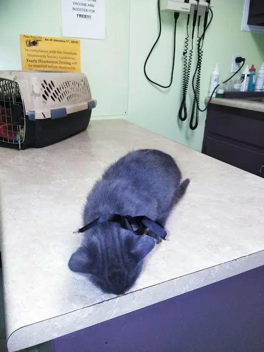 Scioto Trail Animal Clinic Picture 3