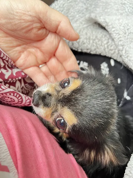 Scioto Trail Animal Clinic Picture 8