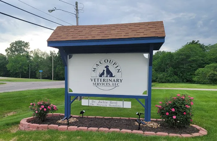 Macoupin Veterinary Services Picture 5