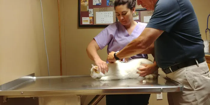 Macoupin Veterinary Services Picture 3