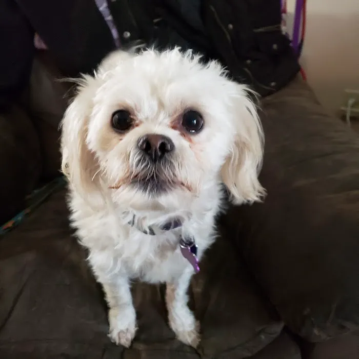 Jersey-Calhoun Veterinary Hospital Picture 9